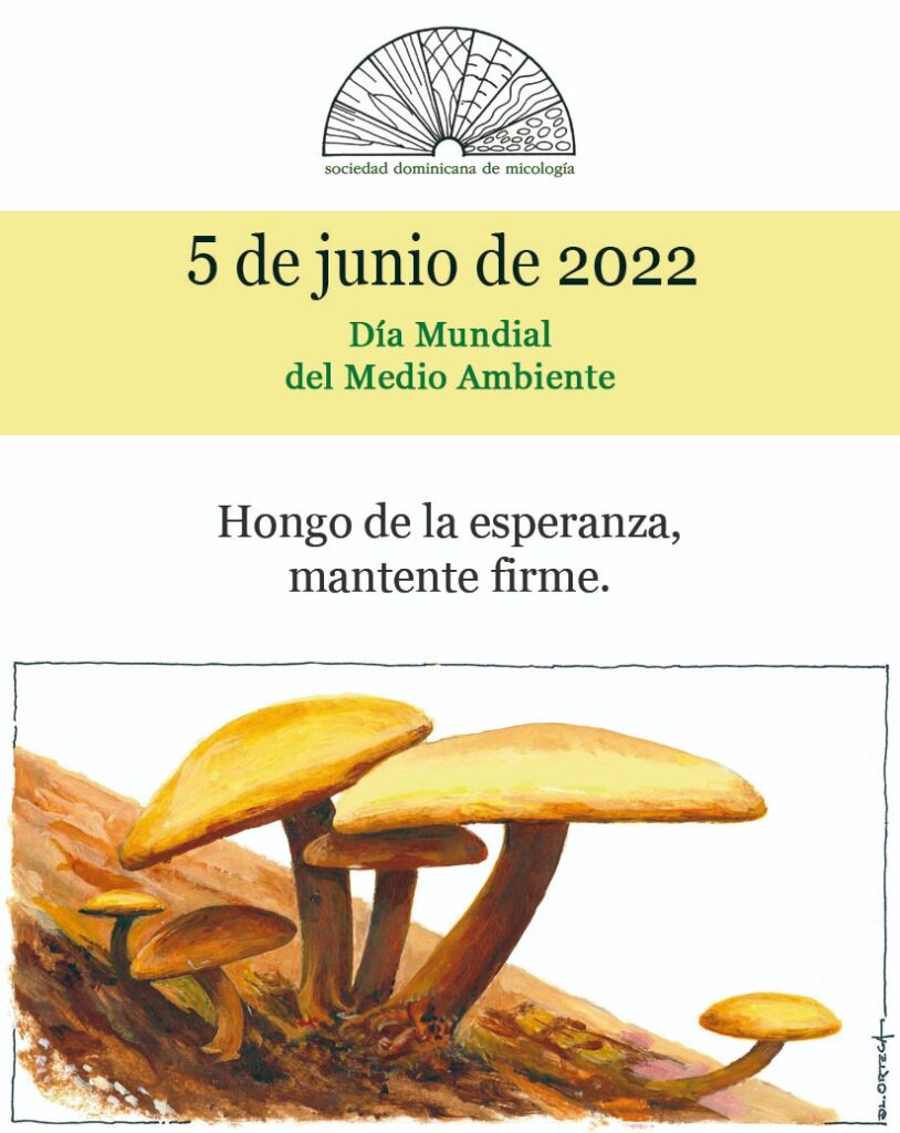 Día Mundial del Medio Ambiente
